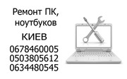 Windows в Киеве,  программы,  сеть,  профилактика