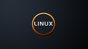 Установка Linux в Борисполе