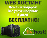 Веб - хостинг (web hosting)